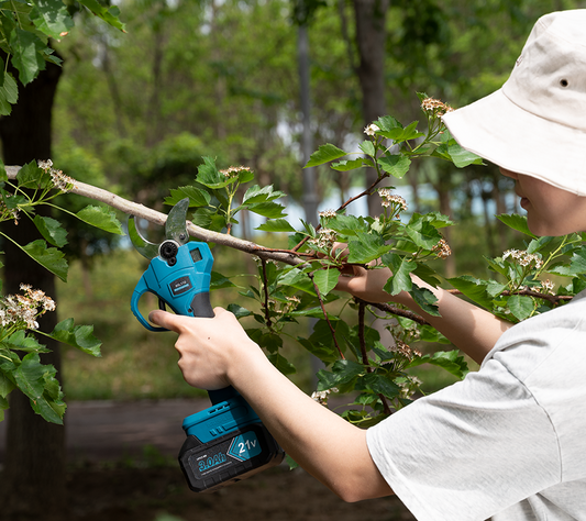 The Ultimate Recommendation for Electric Pruning Shears (2025 Guide)