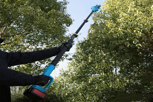 When Is It Necessary to Buy a Pole Saw?