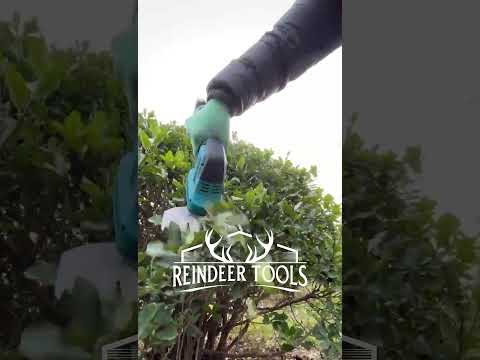 Hedge Trimmer 2 In 1 Reindeer RLL100